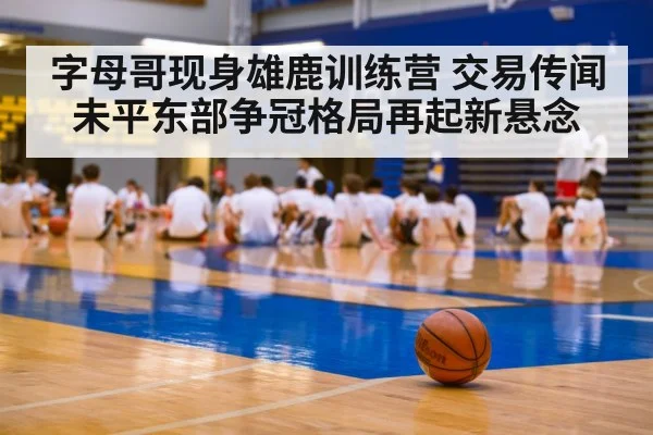 basketball training camp - kaiyun